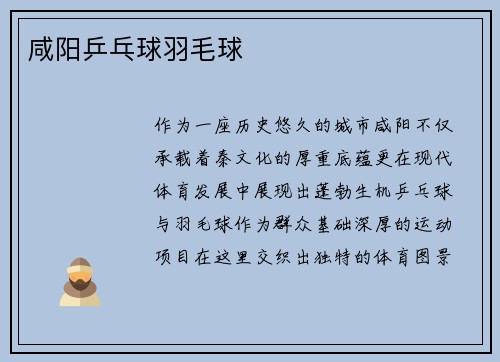 咸阳乒乓球羽毛球