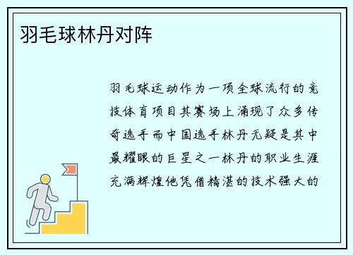 羽毛球林丹对阵